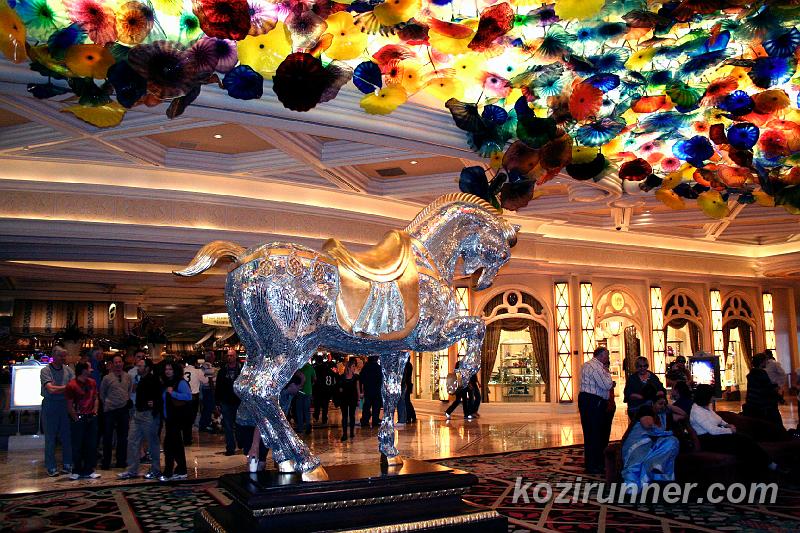 _MG_3407.jpg