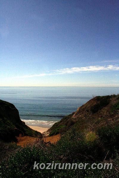_MG_3702.jpg