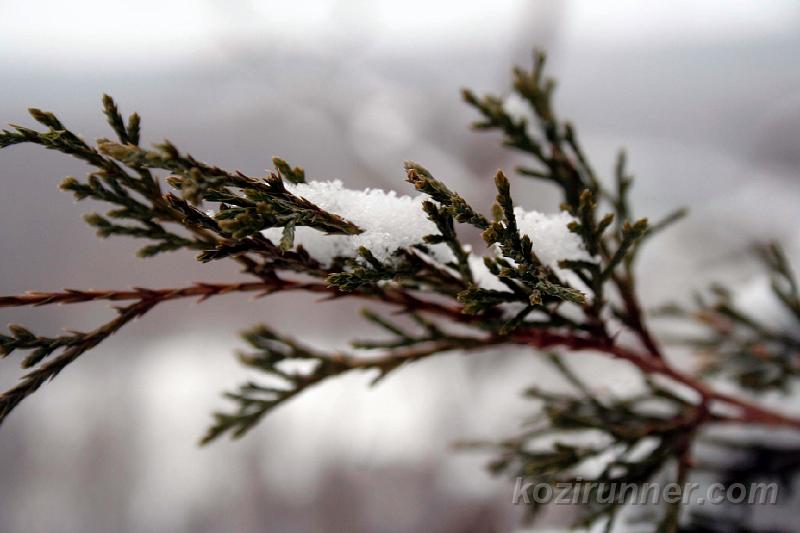 _MG_5347.jpg