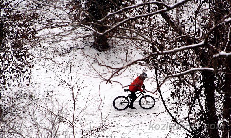 _MG_5371.jpg