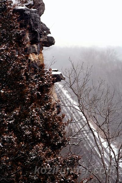 _MG_5378.jpg