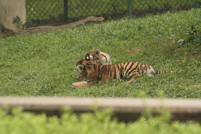 _MG_2188.JPG
