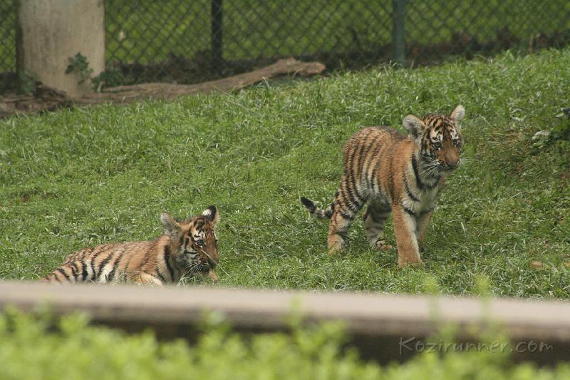_MG_2189.JPG