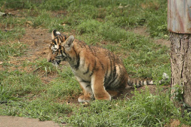 _MG_2205.JPG