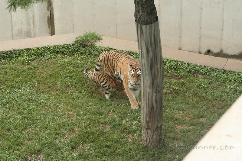 _MG_2265.JPG