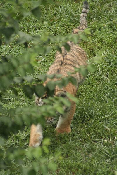 _MG_2283.JPG