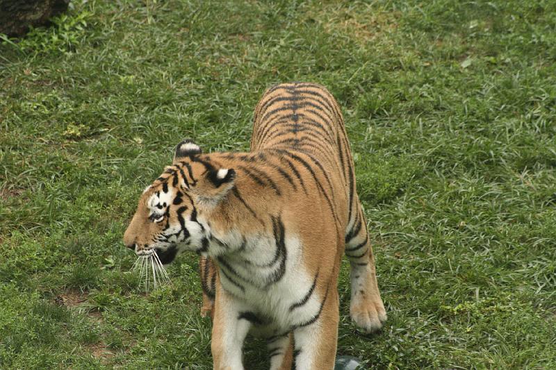 _MG_2297.JPG