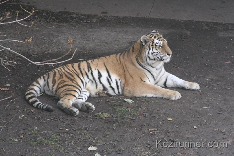 _MG_2649.JPG