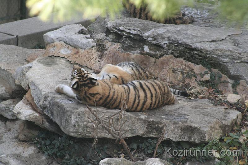_MG_2662.JPG