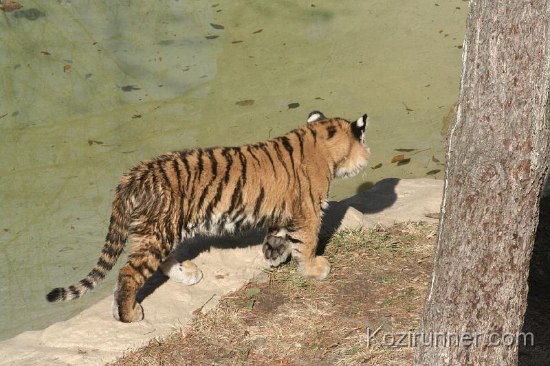 _MG_2685.JPG