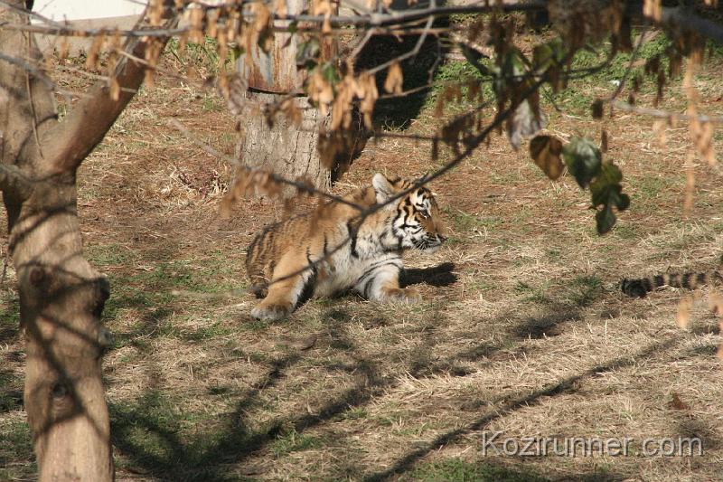 _MG_2686.JPG