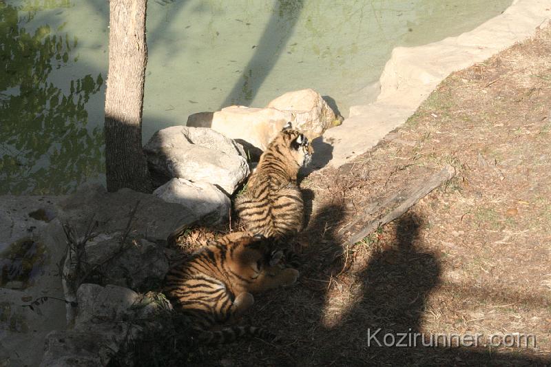 _MG_2697.JPG