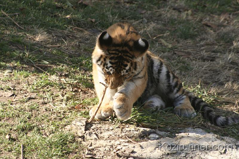 _MG_2706.JPG