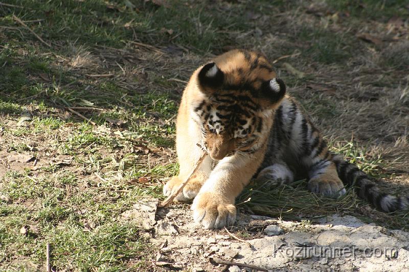 _MG_2707.JPG