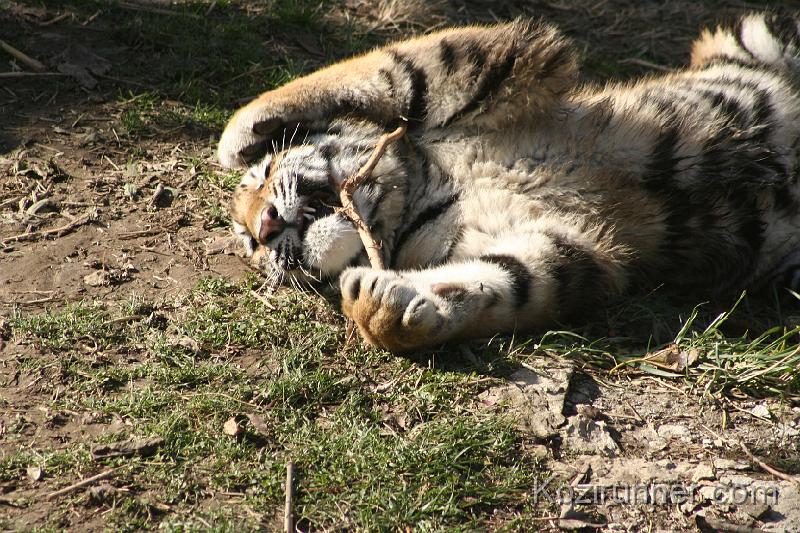 _MG_2709.JPG