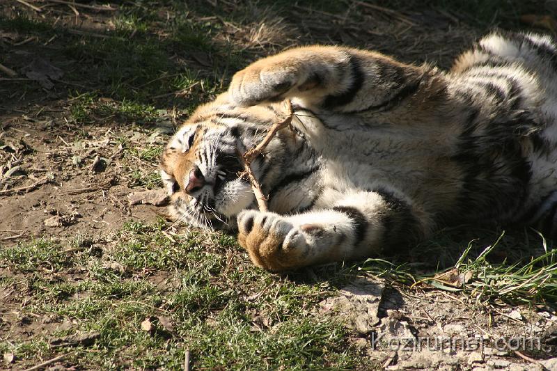 _MG_2710.JPG