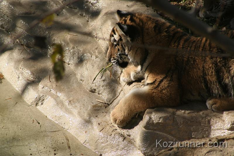 _MG_2721.JPG