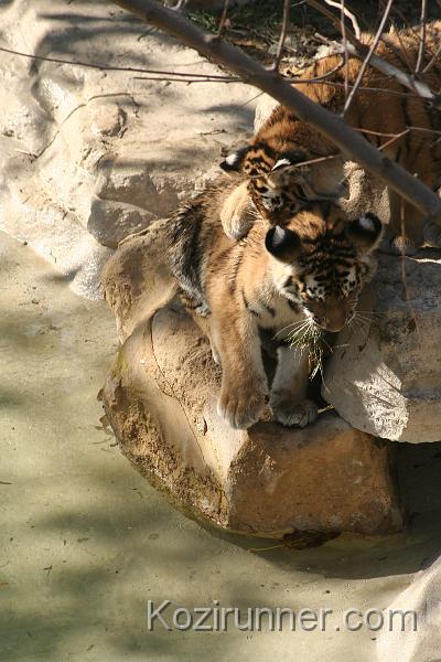 _MG_2722.JPG