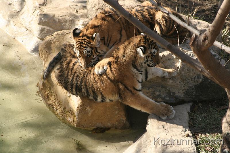 _MG_2730.JPG
