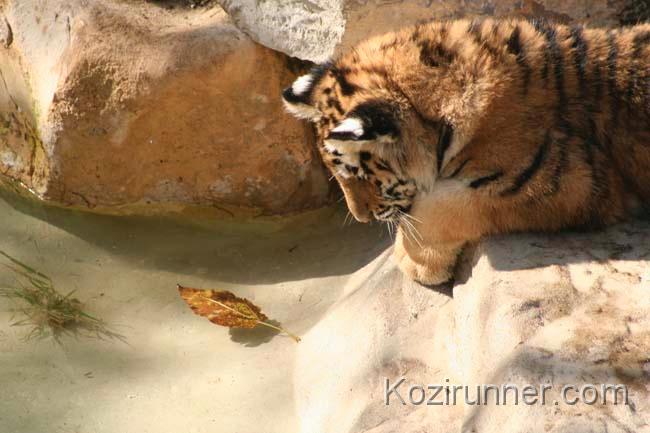 _MG_2738edit01.jpg