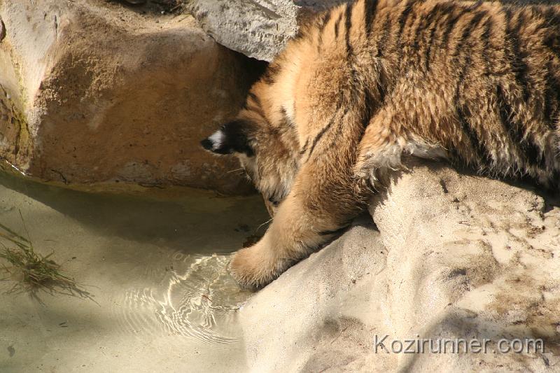 _MG_2739.JPG