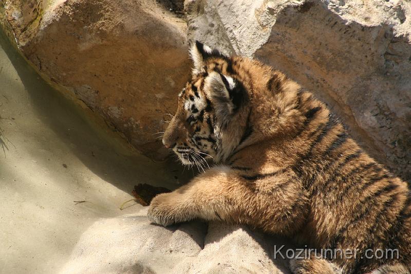 _MG_2740.JPG