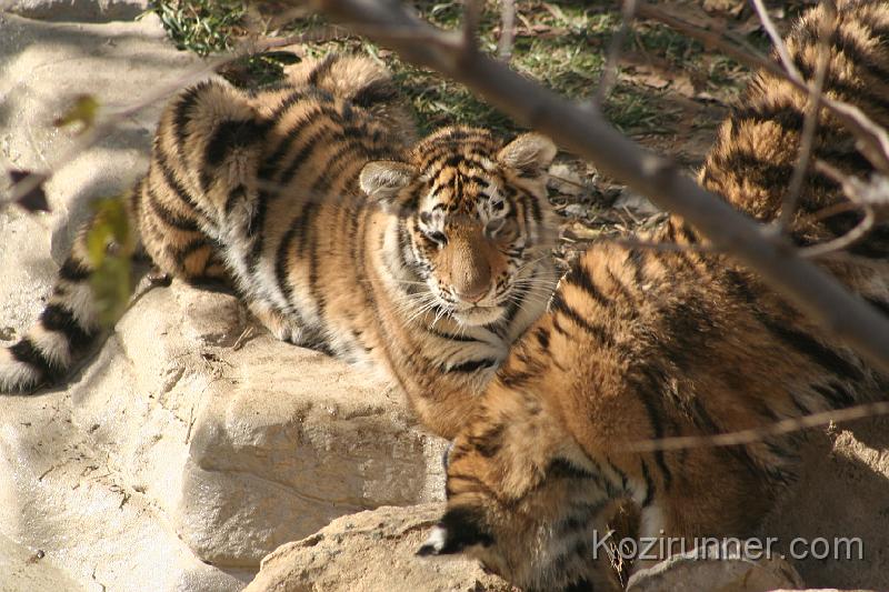 _MG_2744.JPG