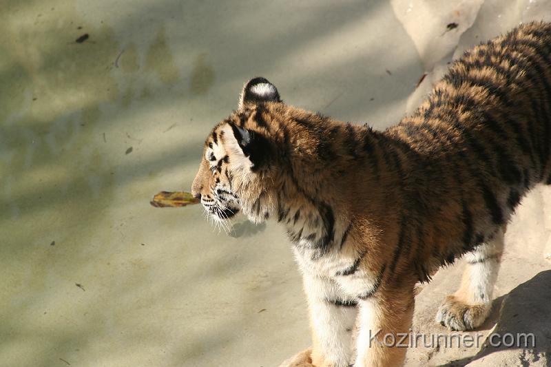 _MG_2746.JPG