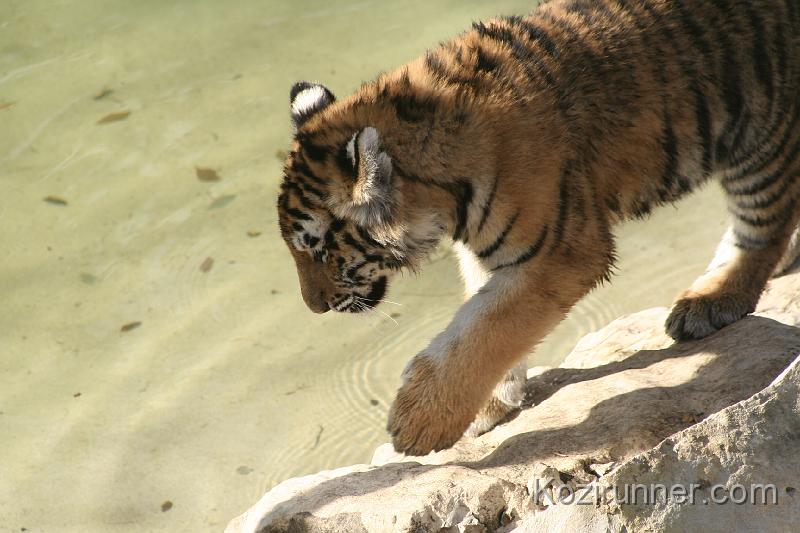_MG_2749.JPG