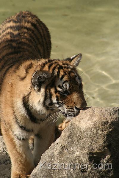 _MG_2758.JPG