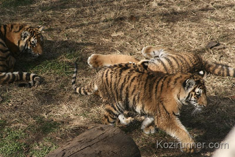 _MG_2762.JPG