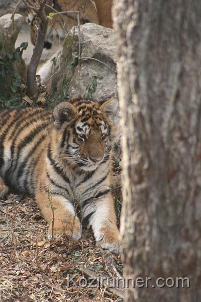 _MG_2766.JPG