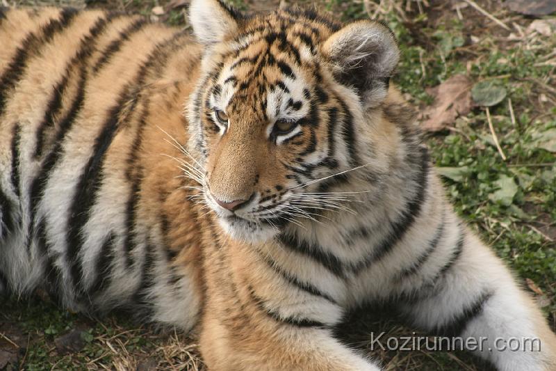 _MG_2780.JPG