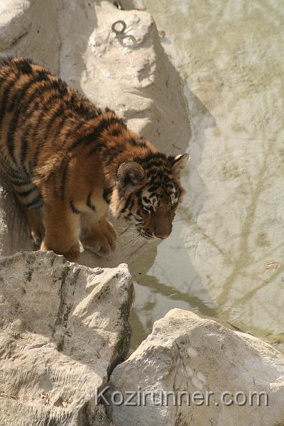 _MG_2786.JPG