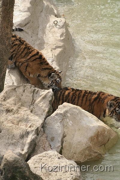 _MG_2795.JPG