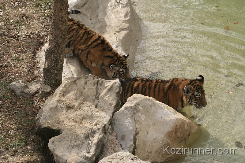 _MG_2796.JPG