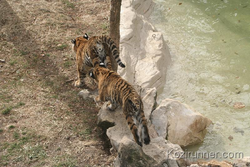 _MG_2805.JPG