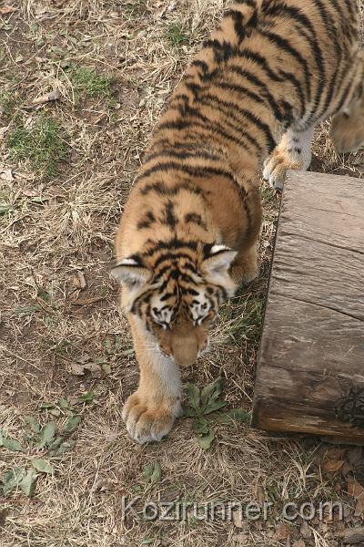 _MG_2812.JPG
