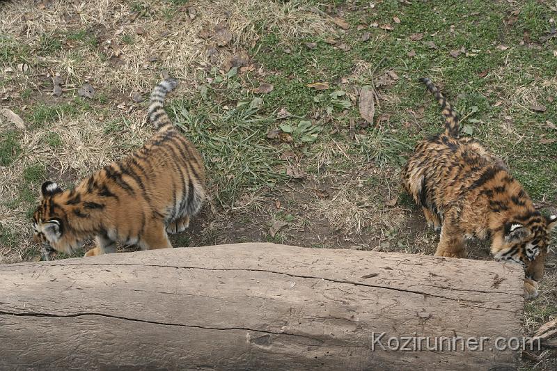 _MG_2826.JPG