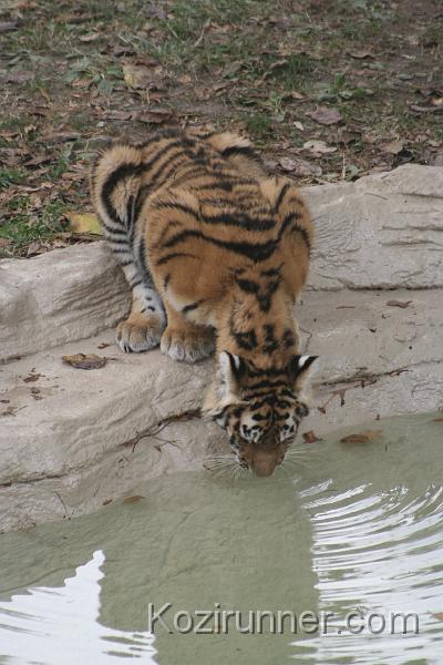 _MG_2834.JPG
