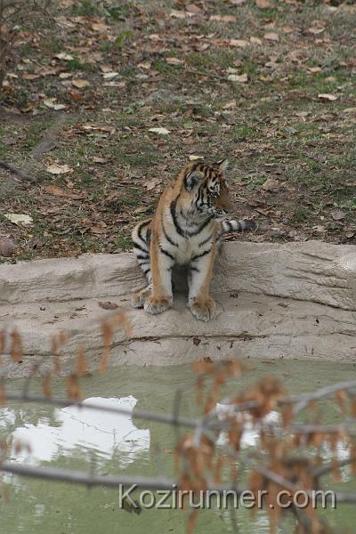 _MG_2838.JPG
