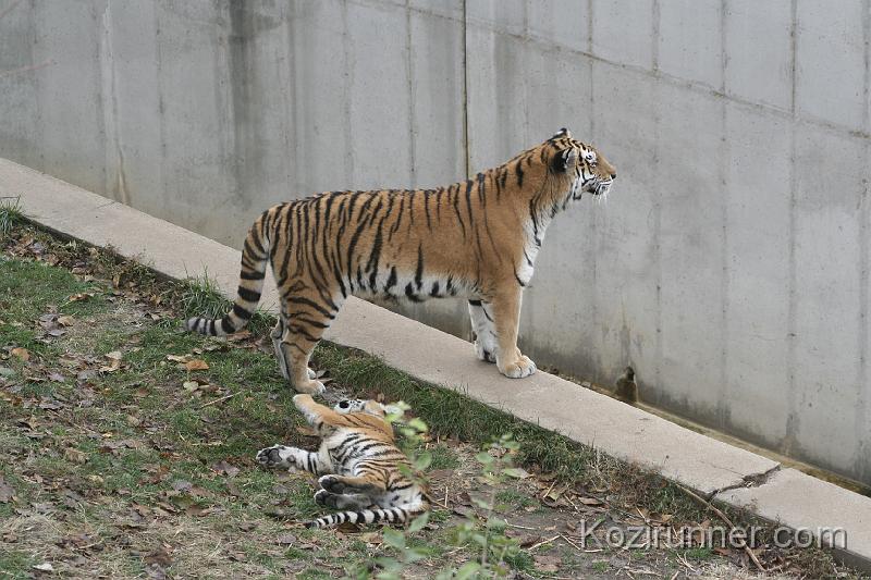 _MG_2841.JPG