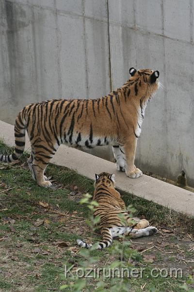 _MG_2843.JPG