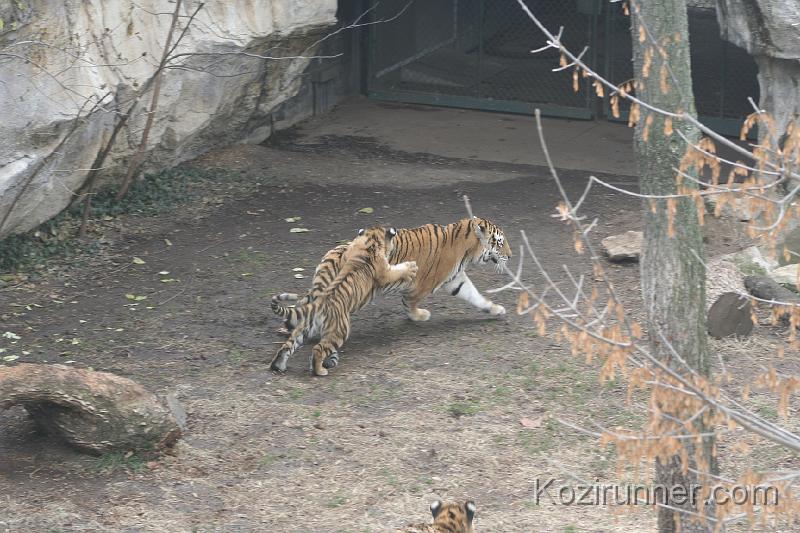 _MG_2845.JPG