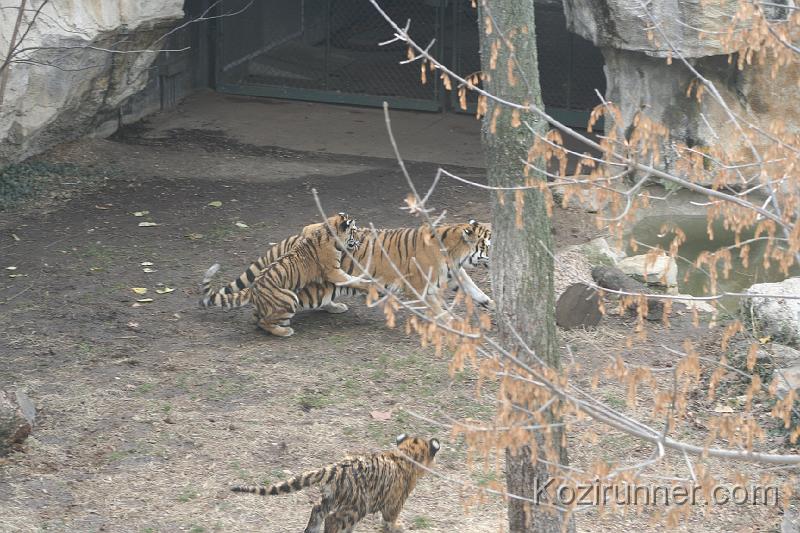 _MG_2846.JPG