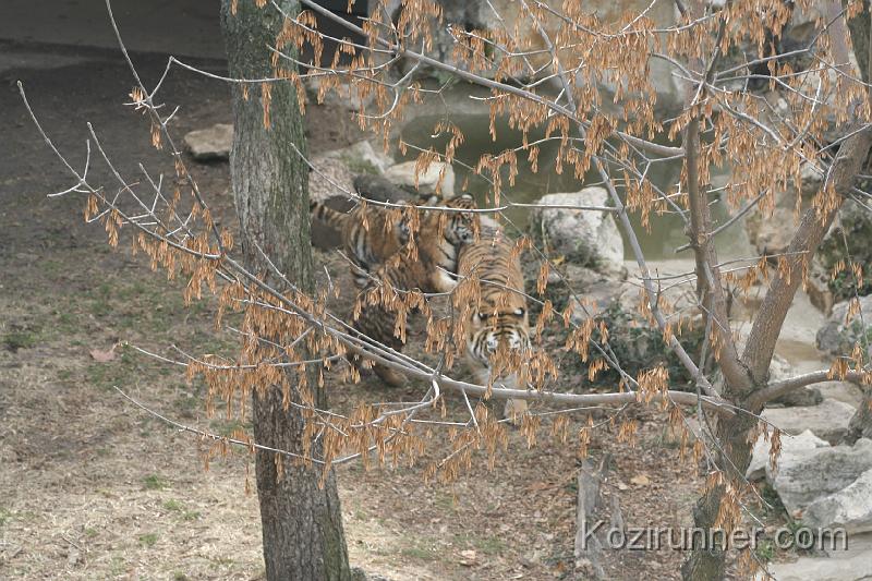 _MG_2848.JPG