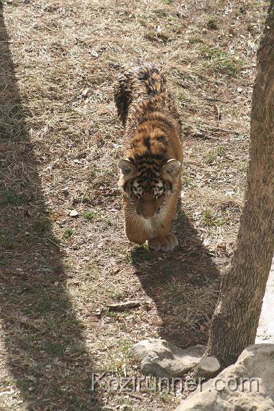_MG_2849.JPG