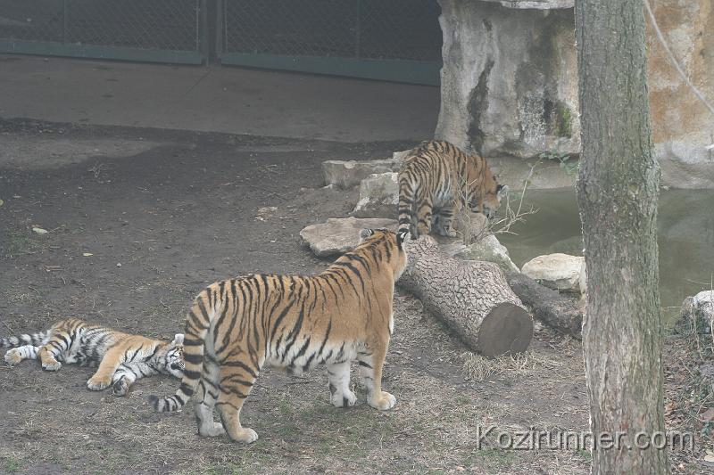 _MG_2854.JPG