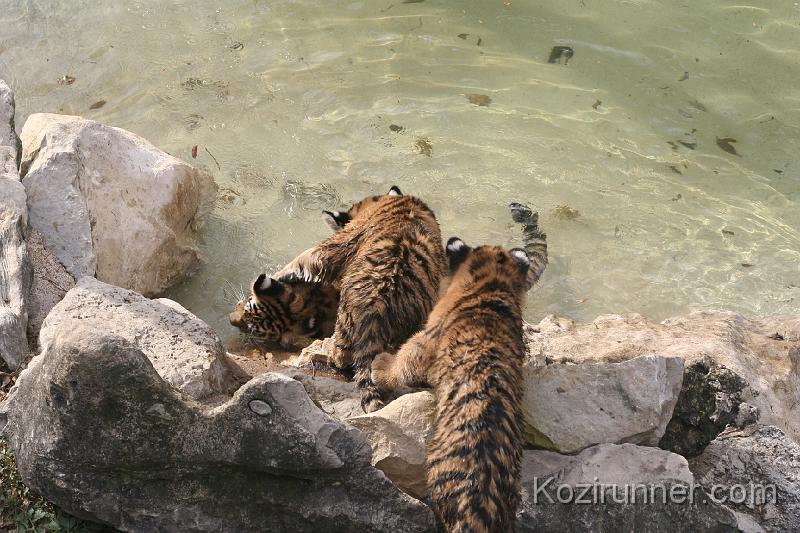 _MG_2870.JPG