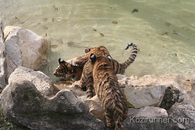 _MG_2871.JPG